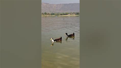 Kasarsai Dam Weekend Picnic Spot Near Hinjewadipune Maharashtra