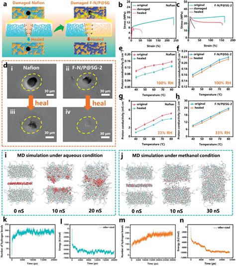 A Schematic Illustration Of The Healing Process Of Nafion And F‐n P Sg Download Scientific