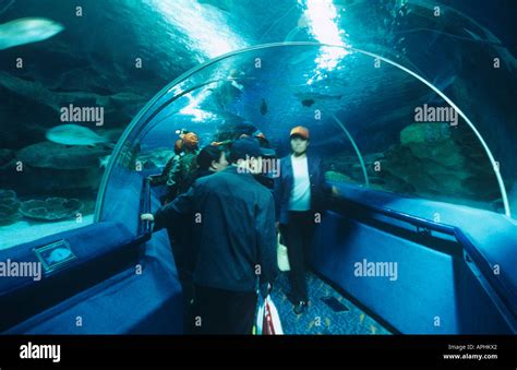 People in the Aquarium tunnel at the Blue Zoo Aquarium in the workers ...