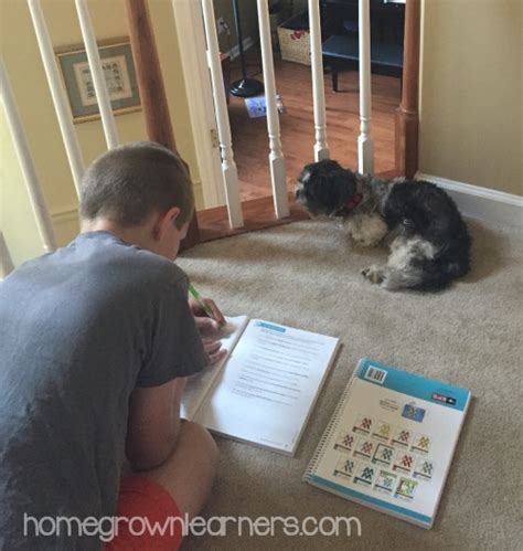 Sixth Grade Homeschool Curriculum Plans — Homegrown Learners