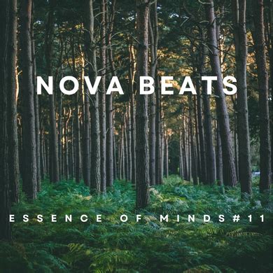 Nova Beats Presents Essence Of Minds 11 Melodic Techno House