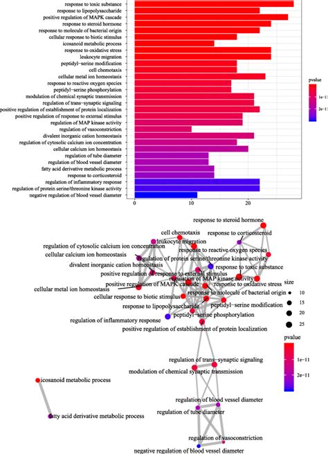 Go Biological Process Enrichment Analysis And Network Relationship