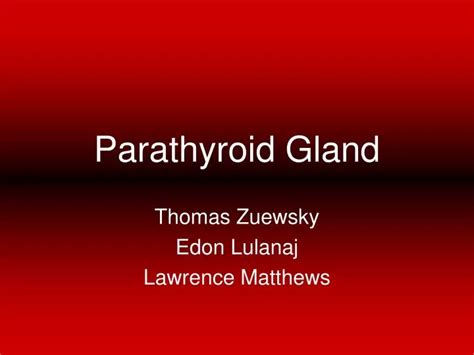 Ppt Parathyroid Gland Powerpoint Presentation Free Download Id 6719525