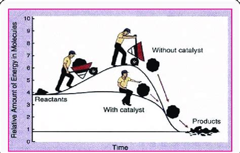 Diagram Representing Catalyst Lowering The Activation Energy Thereby