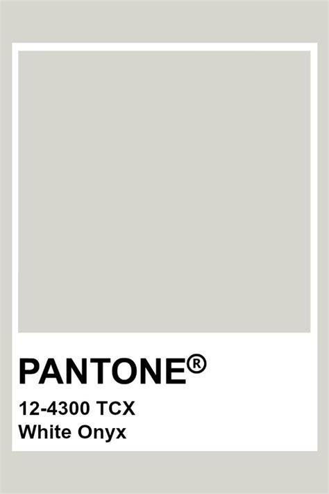 Heartwarming Black Tcx Pantone Pms 877 Metallic