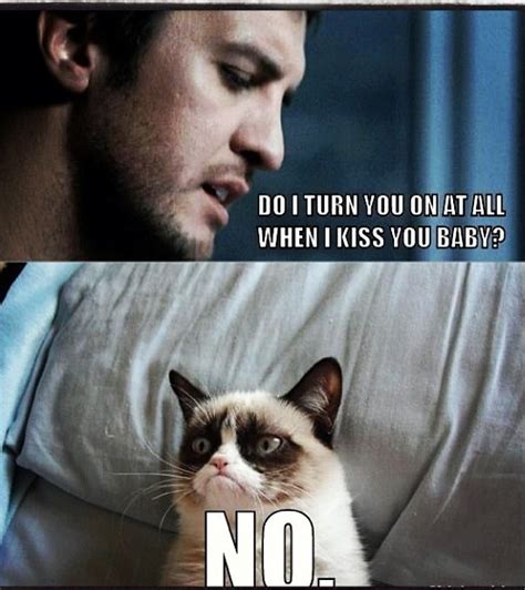 Hahaha....but really...even grumpy cat could not say no to that ... 
