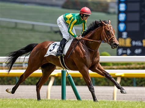 【東京6r新馬戦結果】キタサンブラック産駒サトノカルナバルが7馬身差圧勝 競馬ニュース Netkeiba