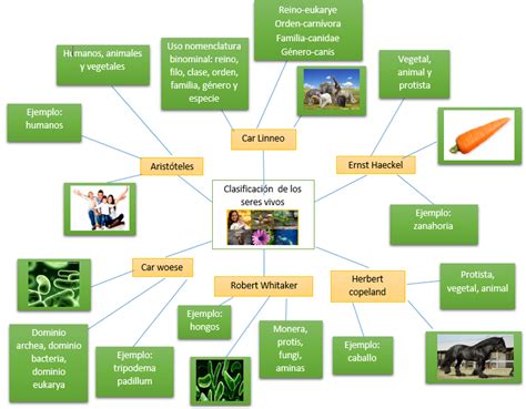 Mapa Conceptual De Las Caracter Sticas De Los Seres Vivos Pdf Document