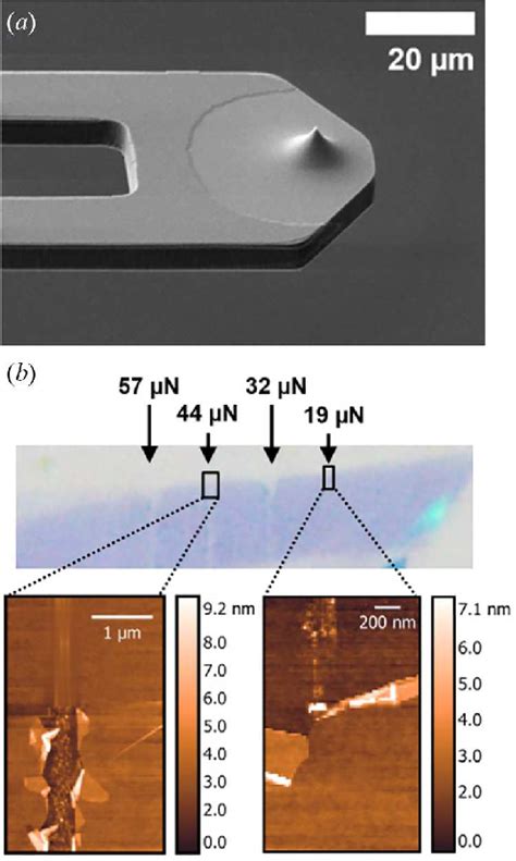 A Scanning Electron Micrograph Of The Used Piezoresistive Cantilever