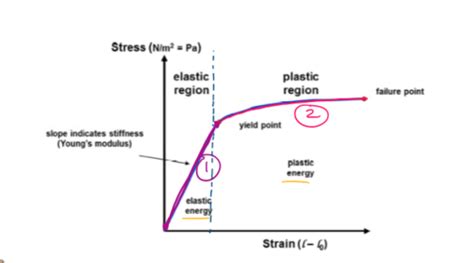 Biomechanics Ch 9 Mechanics Of Biological Materials Flashcards Quizlet