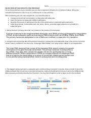 Understanding Nucleic Acids Transcription Key Concepts And Course Hero