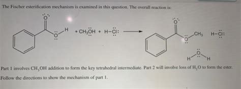 Solved The Fischer Esterification Mechanism Is Examined In Chegg