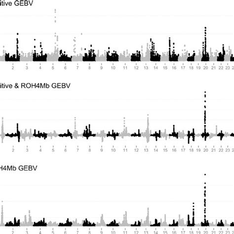 Plot Of Additive Genomic Estimated Breeding GEBV Variance Covariance