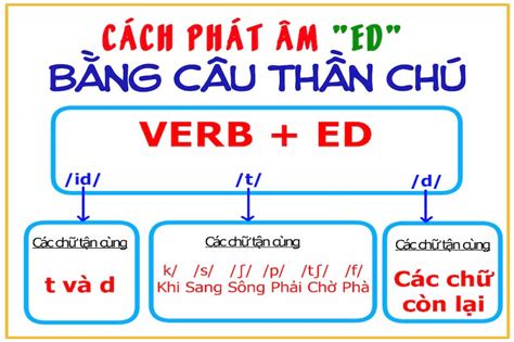 Hướng Dẫn Cách Phát âm Ed Chuẩn Nhất