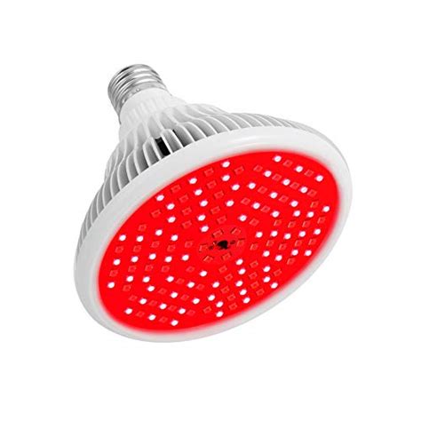 Best Red Light Therapy Bulbs