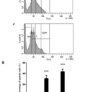 Effect Of CG On Apoptosis Rate And Cell Cycle Distribution In SGC 7901