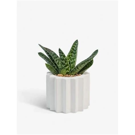 Кашпо "ТЕРРА"