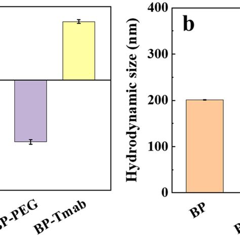 A Zeta Potential Of Naked Bp Tmab Bp Peg And Bp Tmab