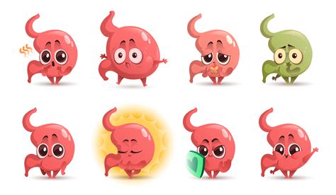 Cartoon Stomach Character Cute Tummy Mascot Vector Art At