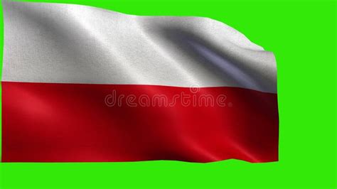 Poland Flag Waving In The Wind National Flag Of Poland Sign Of Poland