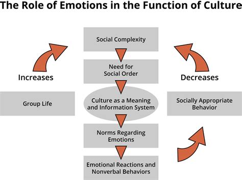 Emotions What Are Their Functions