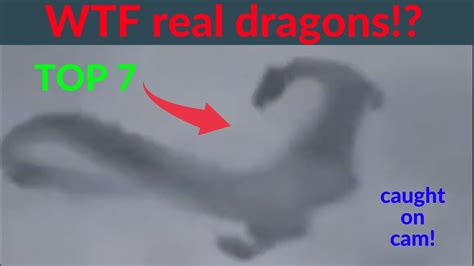 Real Dragons Caught On Tape Top 7 Youtube