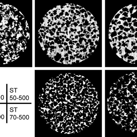 Result Of Three Dimensional Analysis Of Pore Structure Download