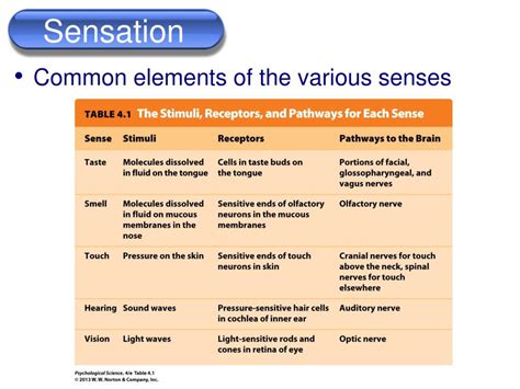 PPT - Psychology 100 Chapter 4 Sensation & Perception PowerPoint ...