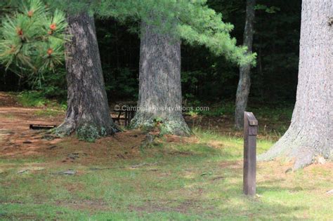 Photo Of Campsite In Kiosk Campground At Algonquin Provincial Park