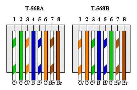 How pairs of UTP cable on RJ-45 connector ~ Jaringan