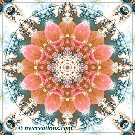 Mandala Monday Mandalas From The Heart Of Change Part Artwork By