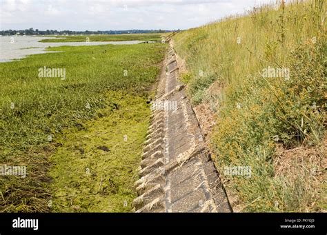 Flood Defence River Wall River Deben Tidal Estuary Sutton Suffolk