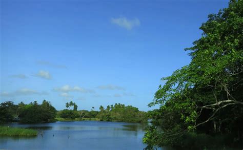 Pantanos De Centla Biosphere Reserve Mexicos Wetland Haven Lac Geo