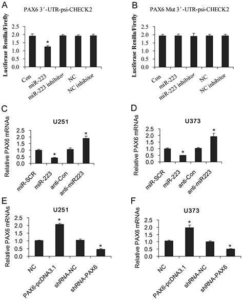 Microrna 223 Promotes The Growth And Invasion Of Glioblastoma Cells By