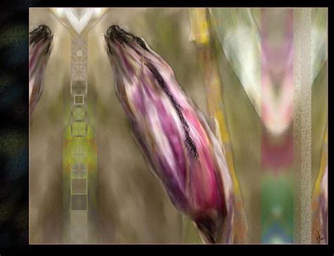 Corn Husk Digital Art by Donna Robichaud - Fine Art America