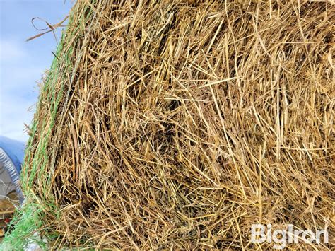 Grass St Crop Round Bales Bigiron Auctions