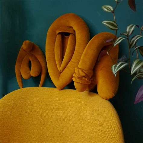 Vulva Clitoris And Penis Pillows Set Vulva Penis Puppets Sex