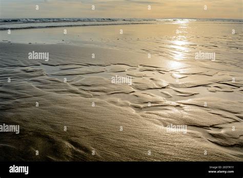 Sandy beach at sunset in the Camargue, Espiguette beach Stock Photo - Alamy