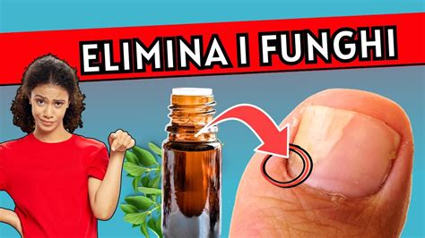 ELIMINA I FUNGHI DALLE UNGHIE TRATTAMENTO 100 NATURALE PER I FUNGHI