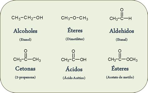 ¿qué Son Las Moléculas Orgánicas Diccionario De Química Orgánica