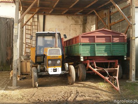 Fotografia Ciagnik Ursus 1212 547253 Galeria Rolnicza Agrofoto