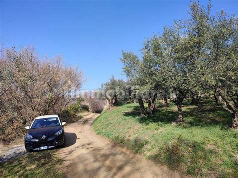 Terreno Agricolo Via Intercomunale Di Valenza Castel San Pietro Romano