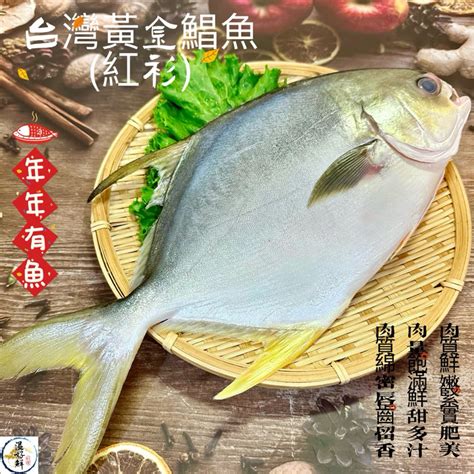 温好鮮 水產台灣黃金鯧魚紅衫 年節 宴客 拜拜用金鯧魚，財圓廣進喔！附發票 蝦皮購物