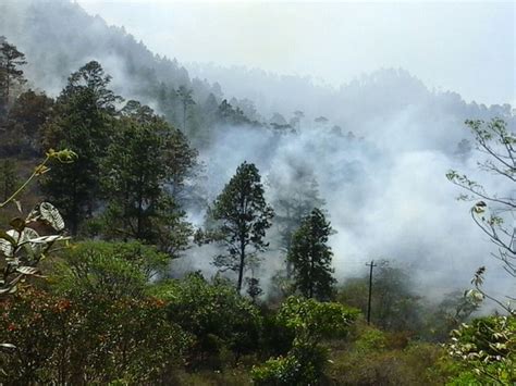 Fuerte Incendio Forestal En Cerro La Coquimba De Dipilto