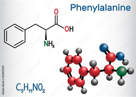 Phenylalanine L Phenylalanine Phe F Amino Acid Molecule