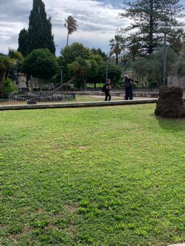 Taglio Del Prato Scerbatura E Taglio Dei Rami Ingresso Laterale Del