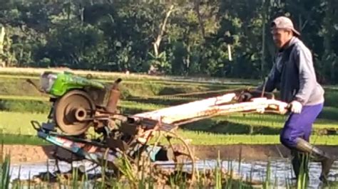 Traktor Sawah Kubota Quick Impala Rd Membajak Sawah Lahan Pertanian