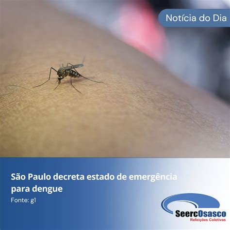 S O Paulo Decreta Estado De Emerg Ncia De Dengue