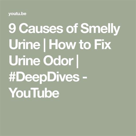 9 Causes Of Smelly Urine How To Fix Urine Odor Deepdives Youtube In 2024 Urine Odor