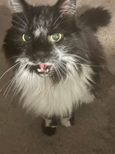 WTNH News 8 - The fire eventually caused the roof of the... | Facebook